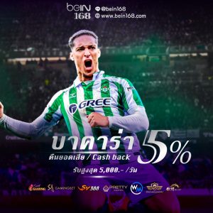 บาคาร่าคืนยอดเสีย5%